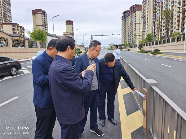 10月22日，洪董陪同汪凯书记一行到新安路调研.jpg